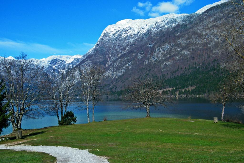 Guest House Alenka Bohinj Eksteriør billede